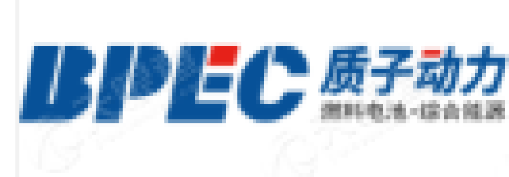 质子动力
