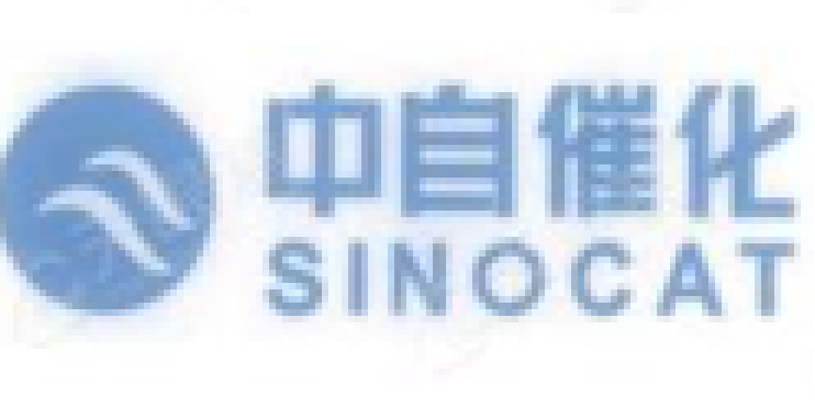 中自